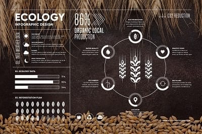 Infografía para curso e-learning - Infografía tipo básico - Ejemplo 1