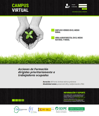 ejemplo 4 de plataforma de teleformación personalizada para cliente